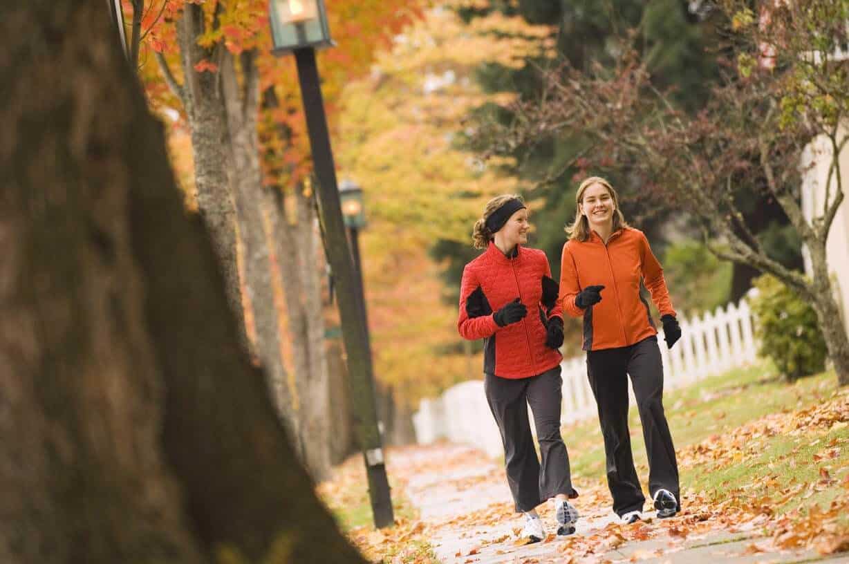 Outdoor walk for stress recovery in the Netherlands at Kneesrefine